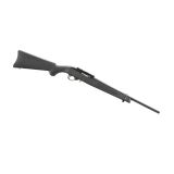 1022-ruger.jpg