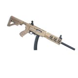 ruger-ar-fde.jpg