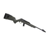 tm22-cad-18-odg.jpg